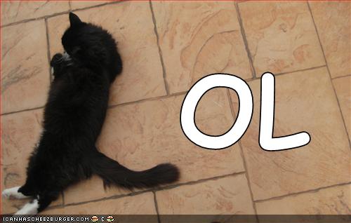 image: funny-pictures-black-l-cat-lol